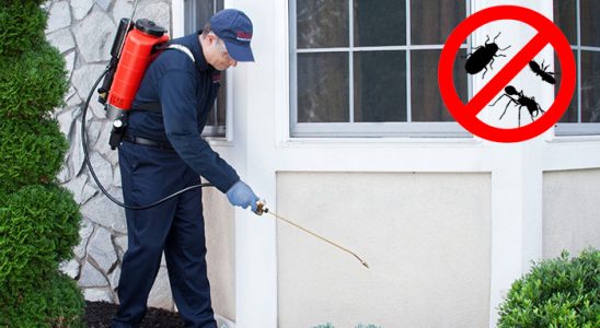 Pazaryolu Hamam Böceği İlaçlama böcek ilaçlama ve haşere kontrolü — ilaclama-tr.com